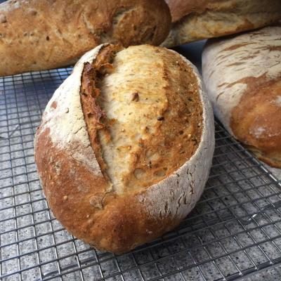 Multigrain Ciabatta - Breads & Rolls - New Zealand