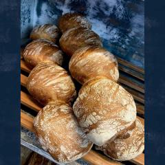 Ciabatta Rolls